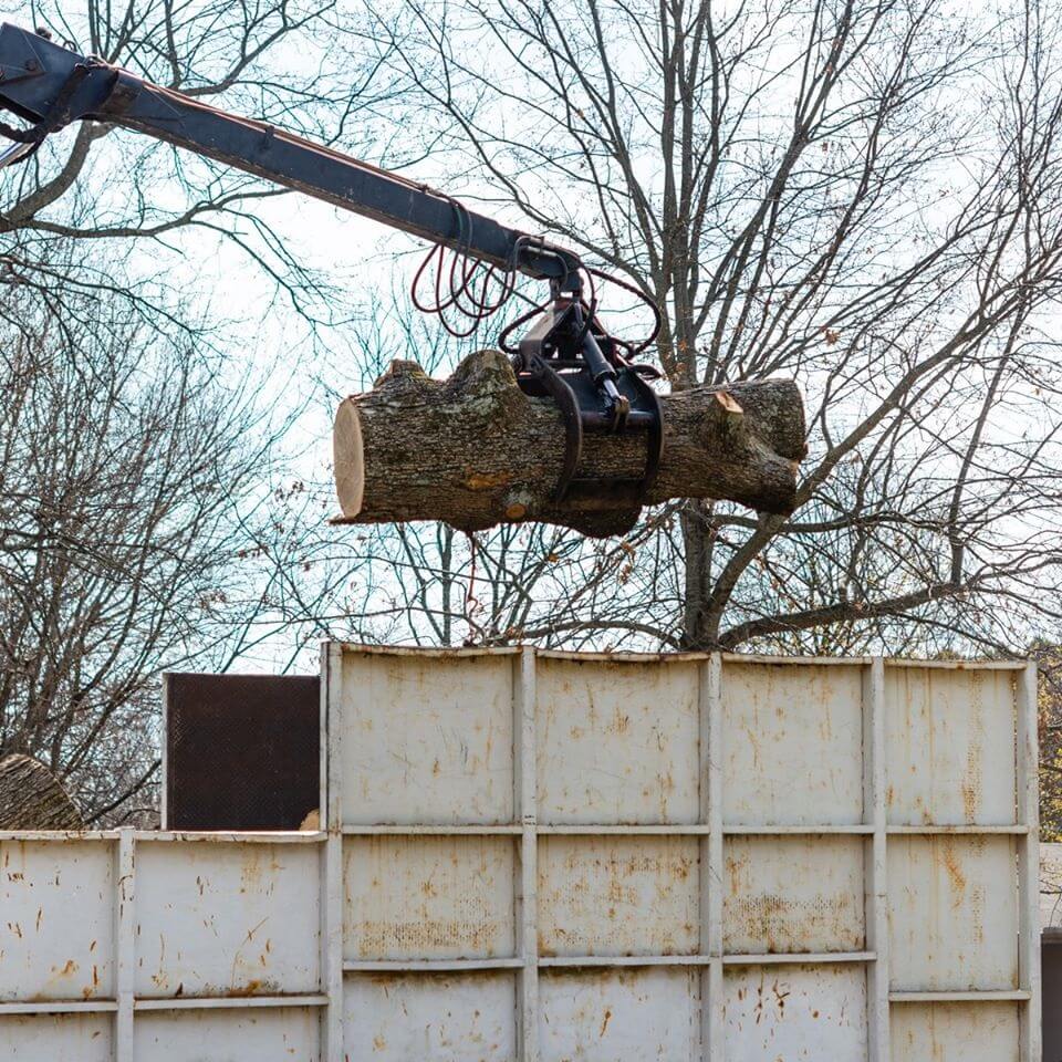 Ark-O-Mo Tree Service Gallery