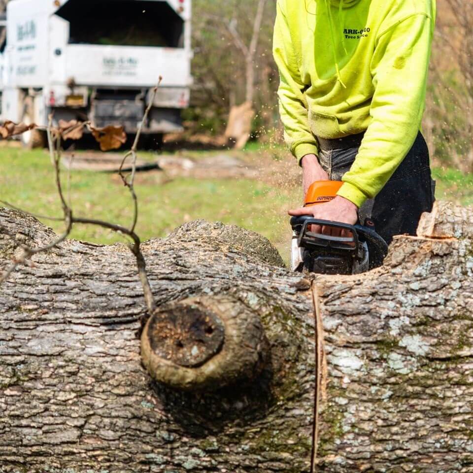 Ark-O-Mo Tree Service Gallery