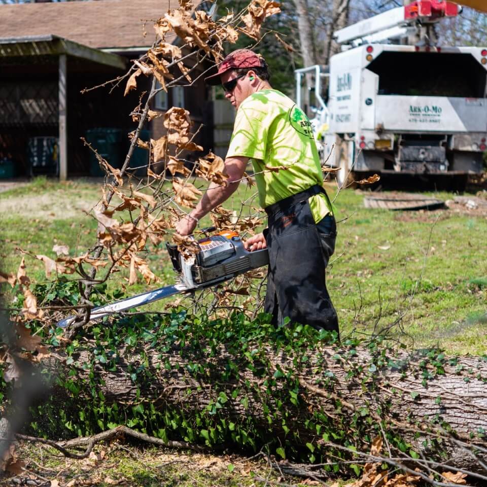 Ark-O-Mo Tree Service Gallery