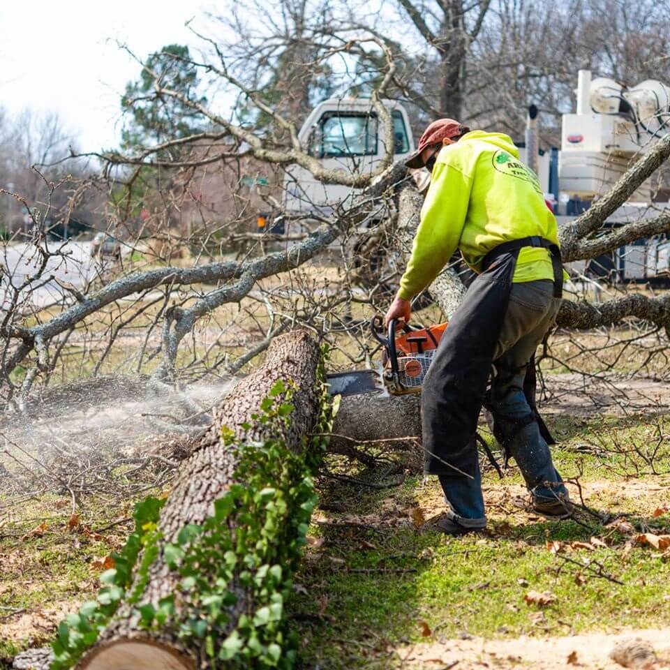 Ark-O-Mo Tree Service Gallery