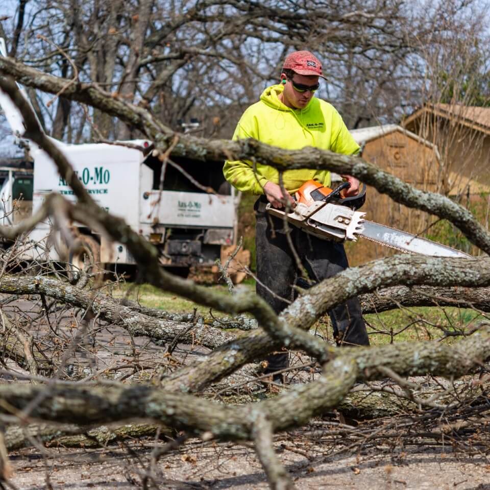 Ark-O-Mo Tree Service Gallery