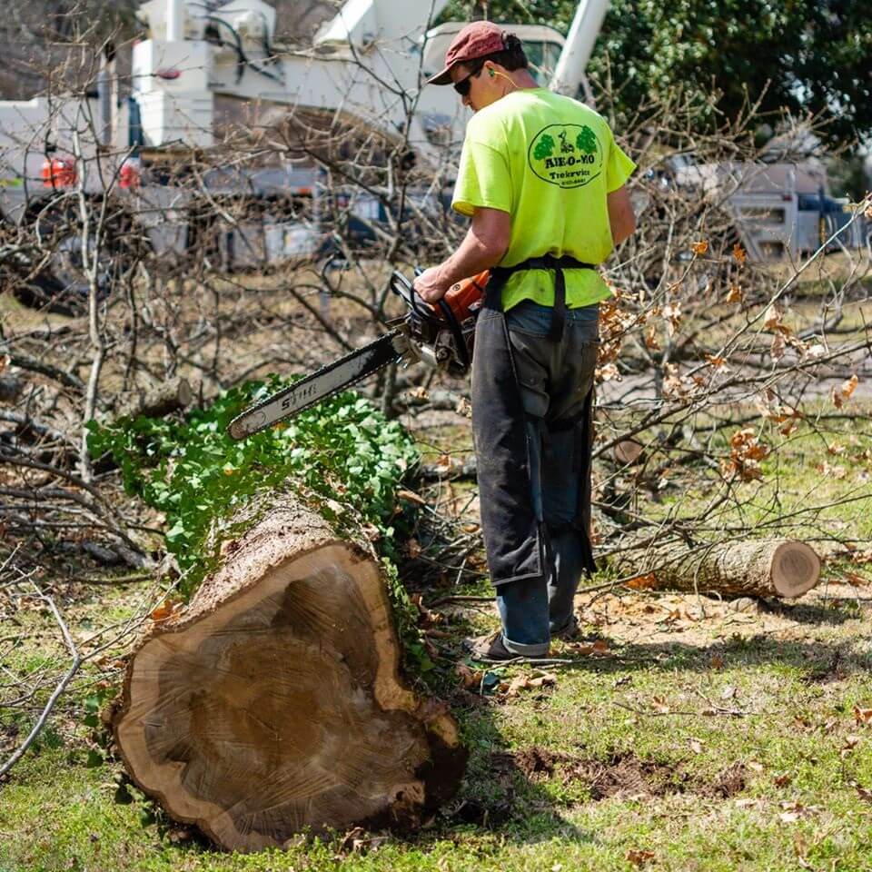 Ark-O-Mo Tree Service Gallery