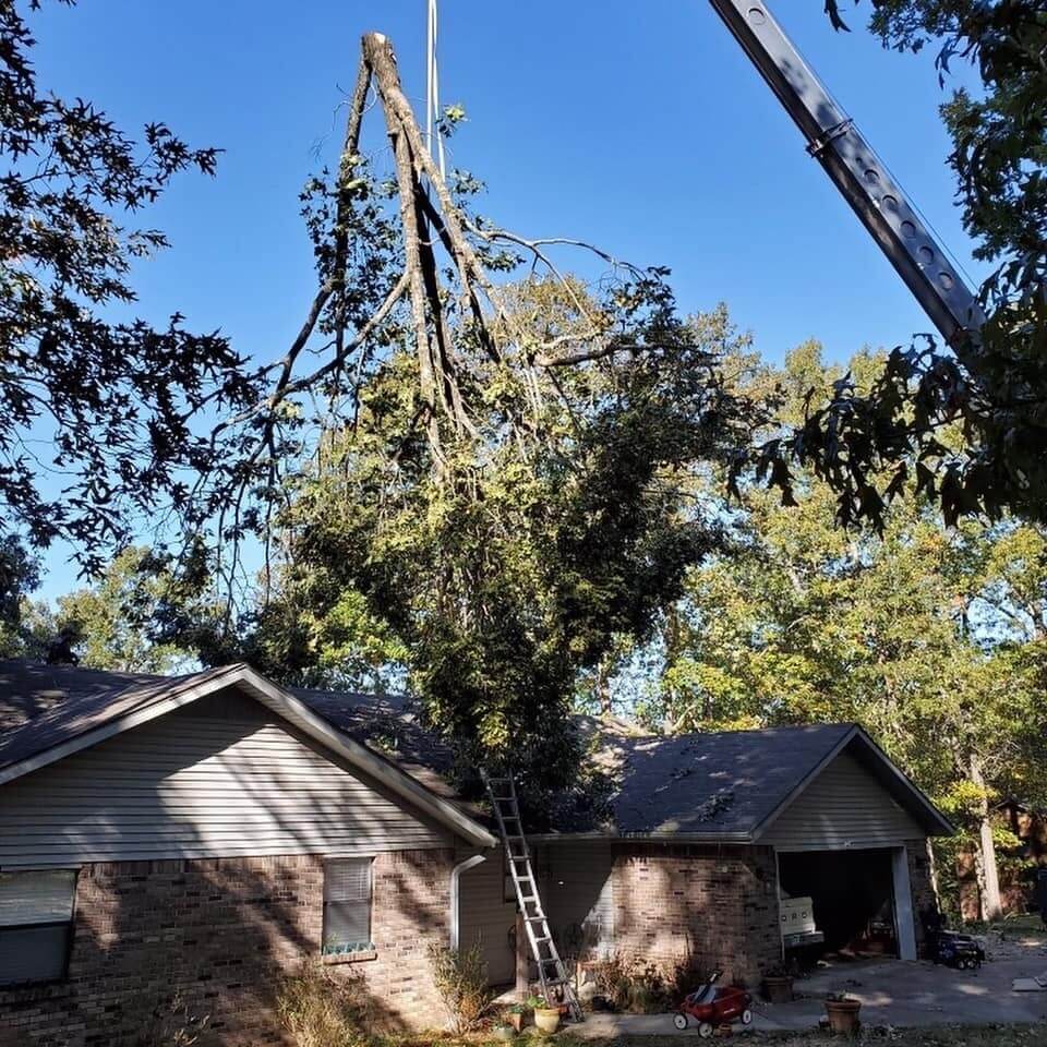 Ark-O-Mo Tree Service Gallery