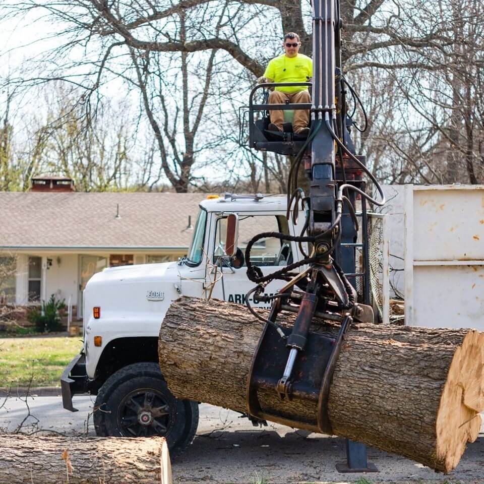 Ark-O-Mo Tree Service Gallery