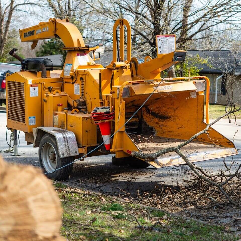 Ark-O-Mo Tree Service Gallery