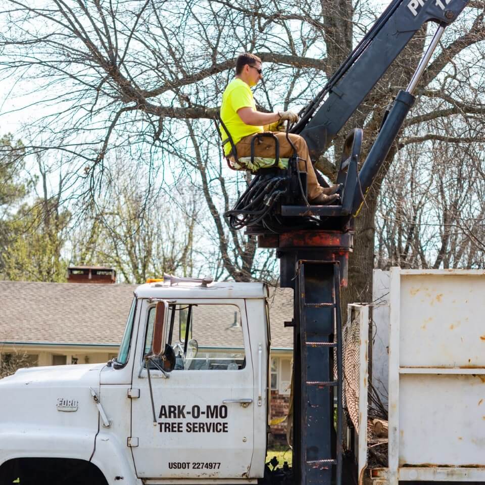 Ark-O-Mo Tree Service Gallery