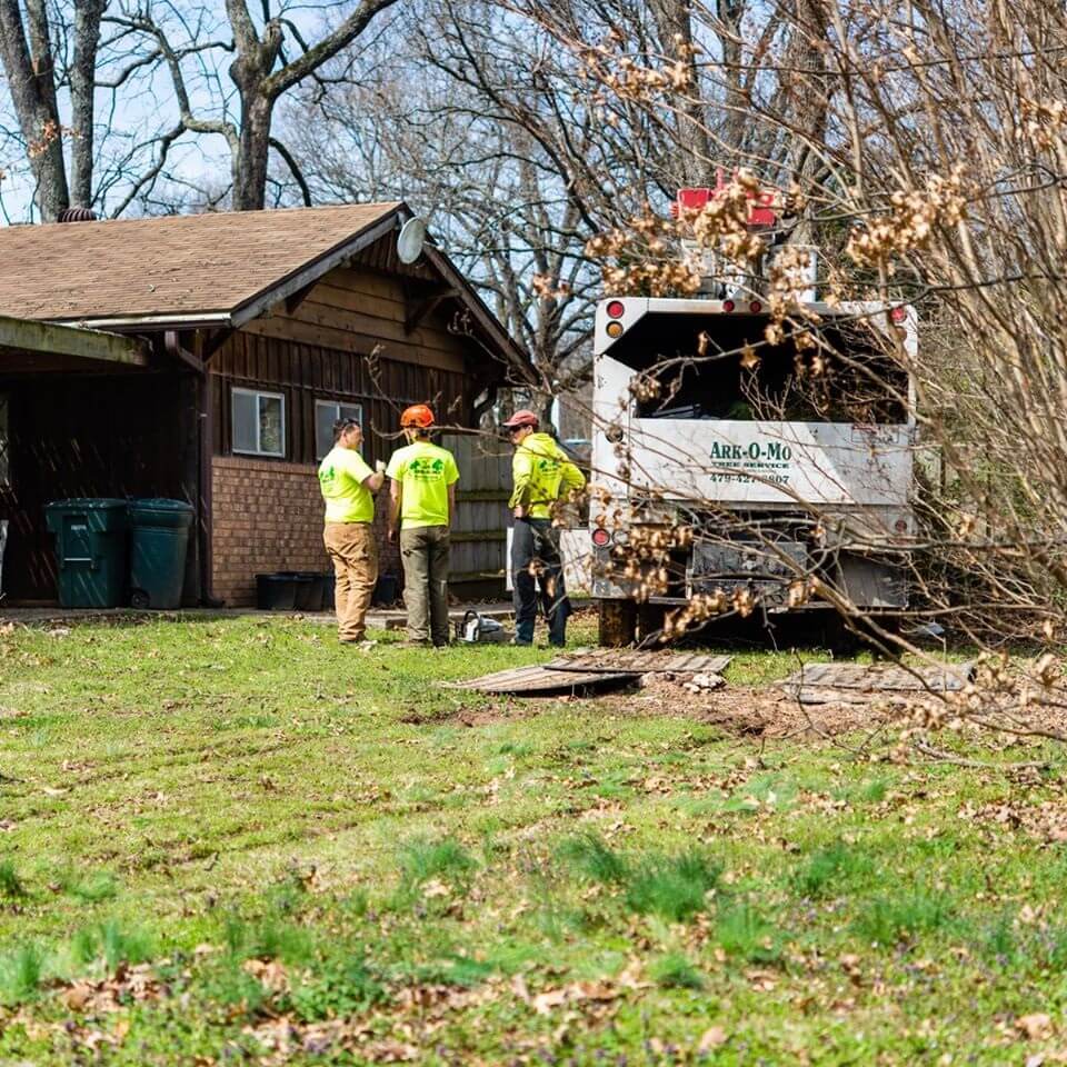 Ark-O-Mo Tree Service Gallery