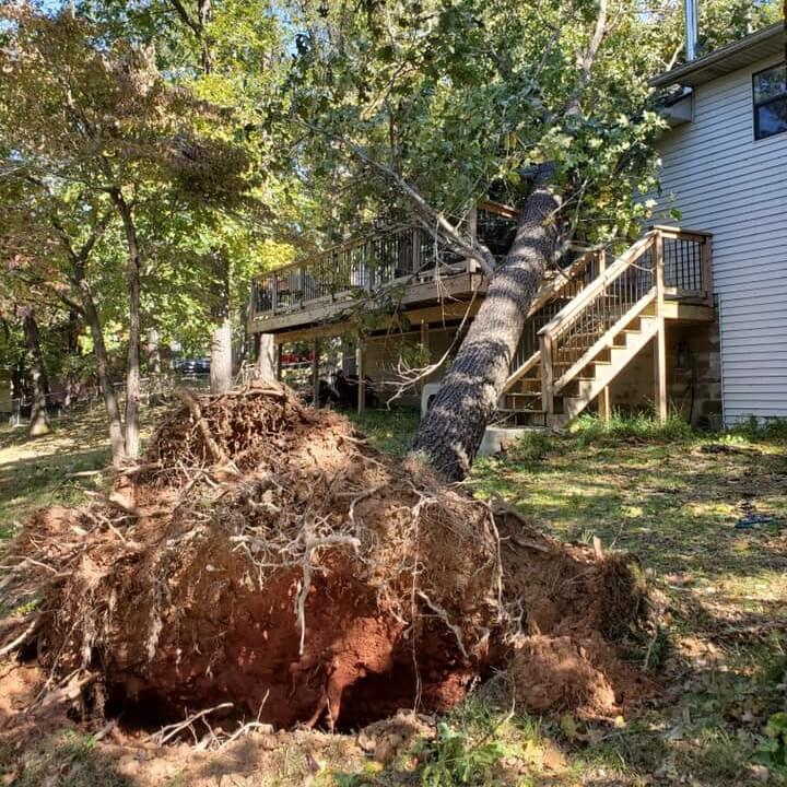 Ark-O-Mo Tree Service Gallery