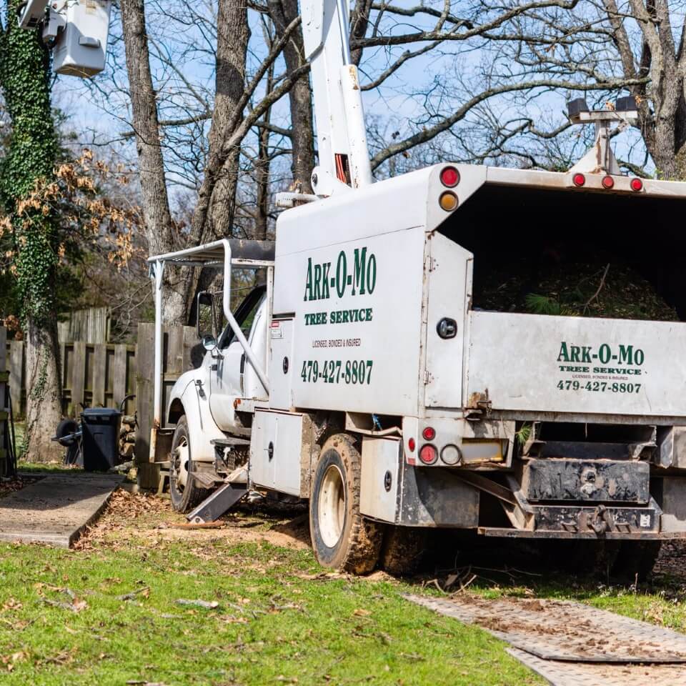 Ark-O-Mo Tree Service Gallery