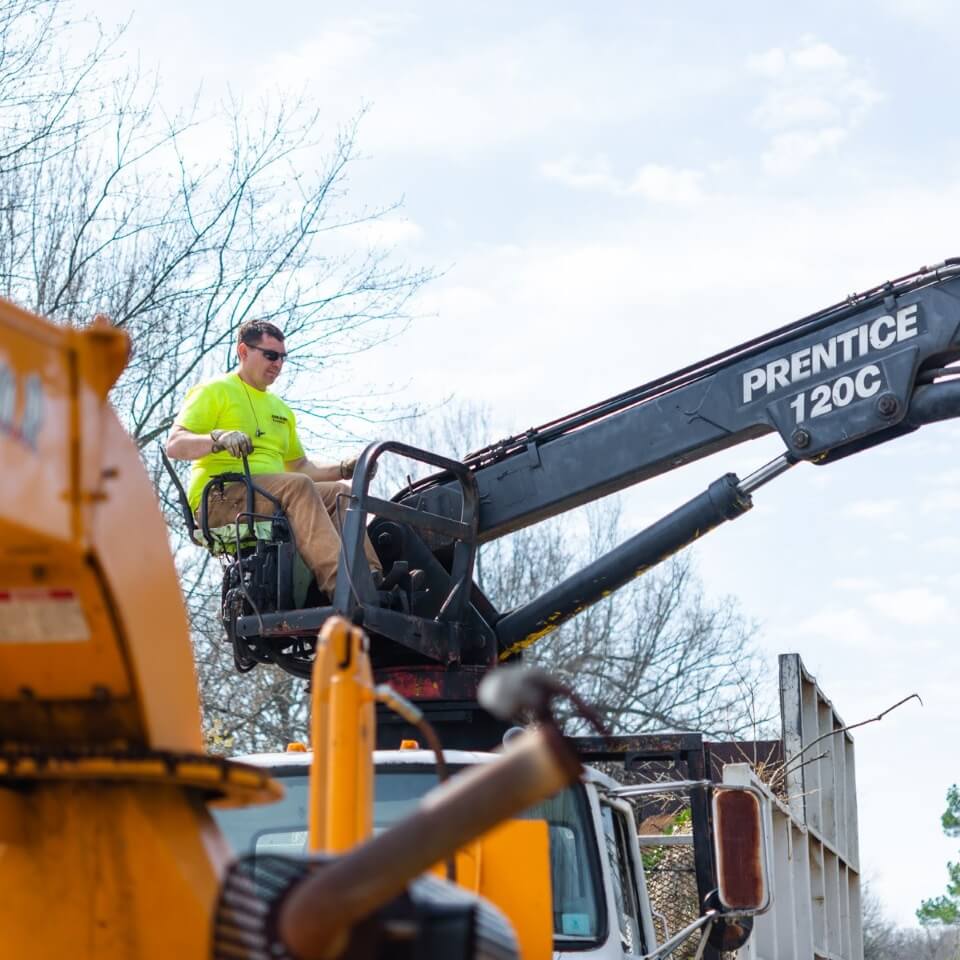 Ark-O-Mo Tree Service Gallery